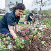 Gardening