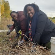 Volunteers Plant Trees