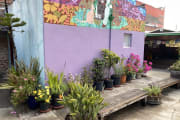 Garden Garden