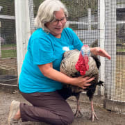 Animal Care Animal Care