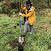 Person Digging a Hole