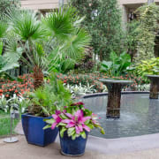 image_20240624072007 image_20240624072007