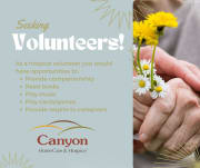 Companionship Volunteer Companionship Volunteer