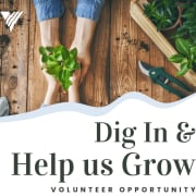 Garden - dig in Garden - dig in
