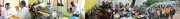 image_20250501161426 image_20250501161426