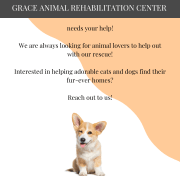 Grace Animal Rehabilitation Center Grace Animal Rehabilitation Center