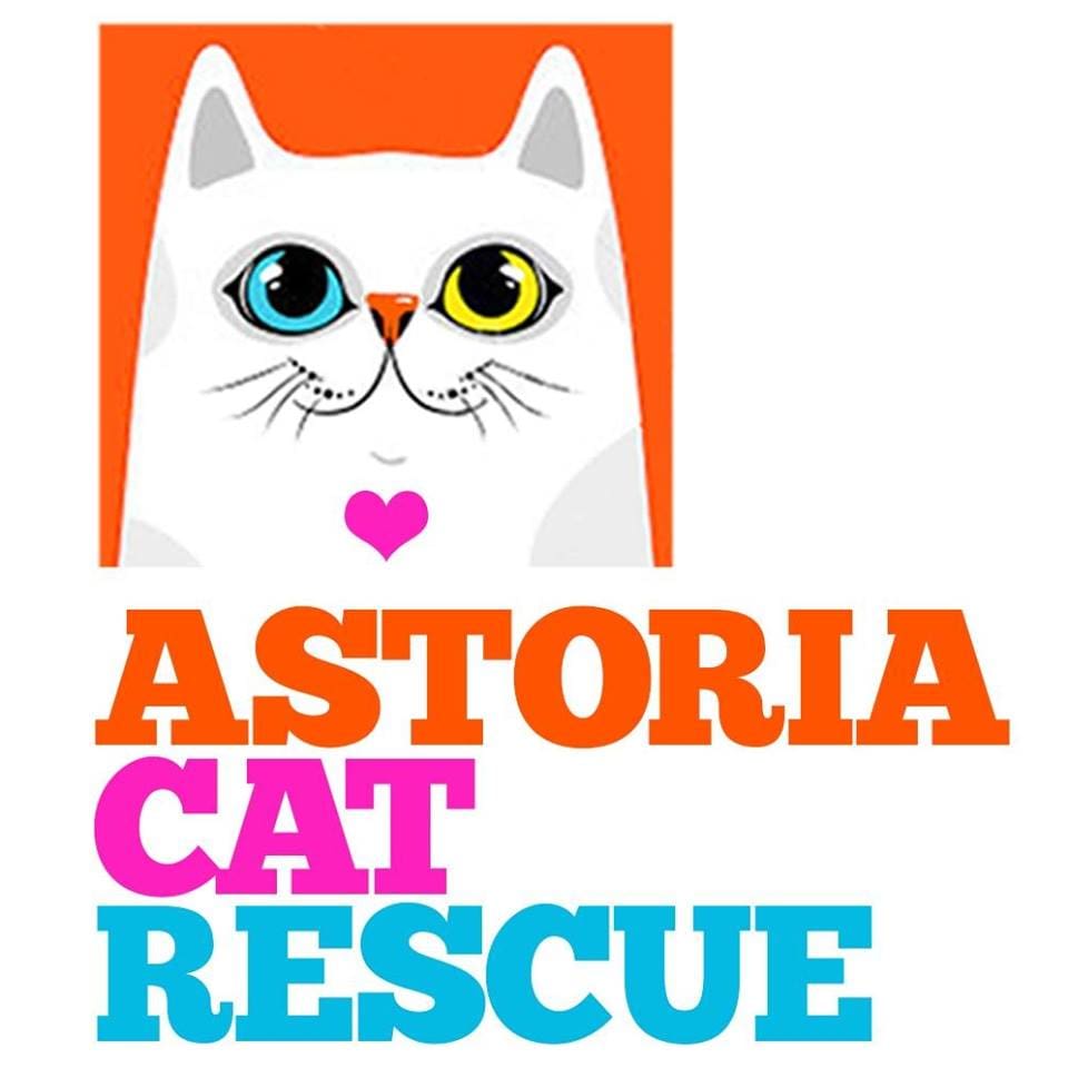 Astoria Cat Rescue Inc Volunteer Opportunities Volunteermatch
