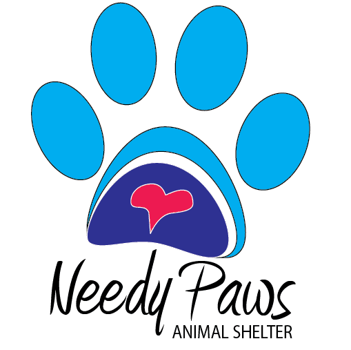 quincy animal shelter cause 4 paws