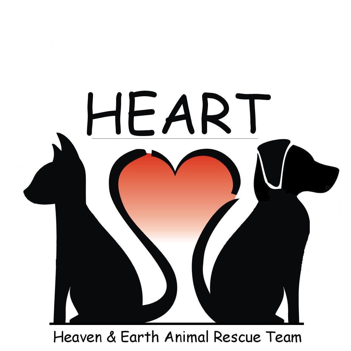 Pet heart. Heart Team. Теам Хеарт. Heart Pet.