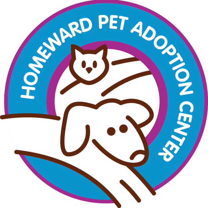 Homeward Pet Adoption Center Volunteer 