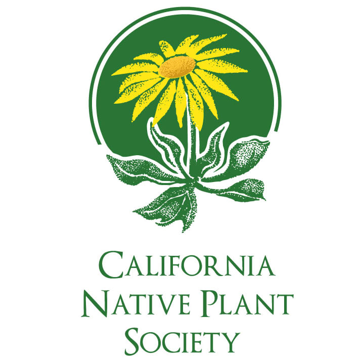 native plant california society volunteer jepson linn willis organization