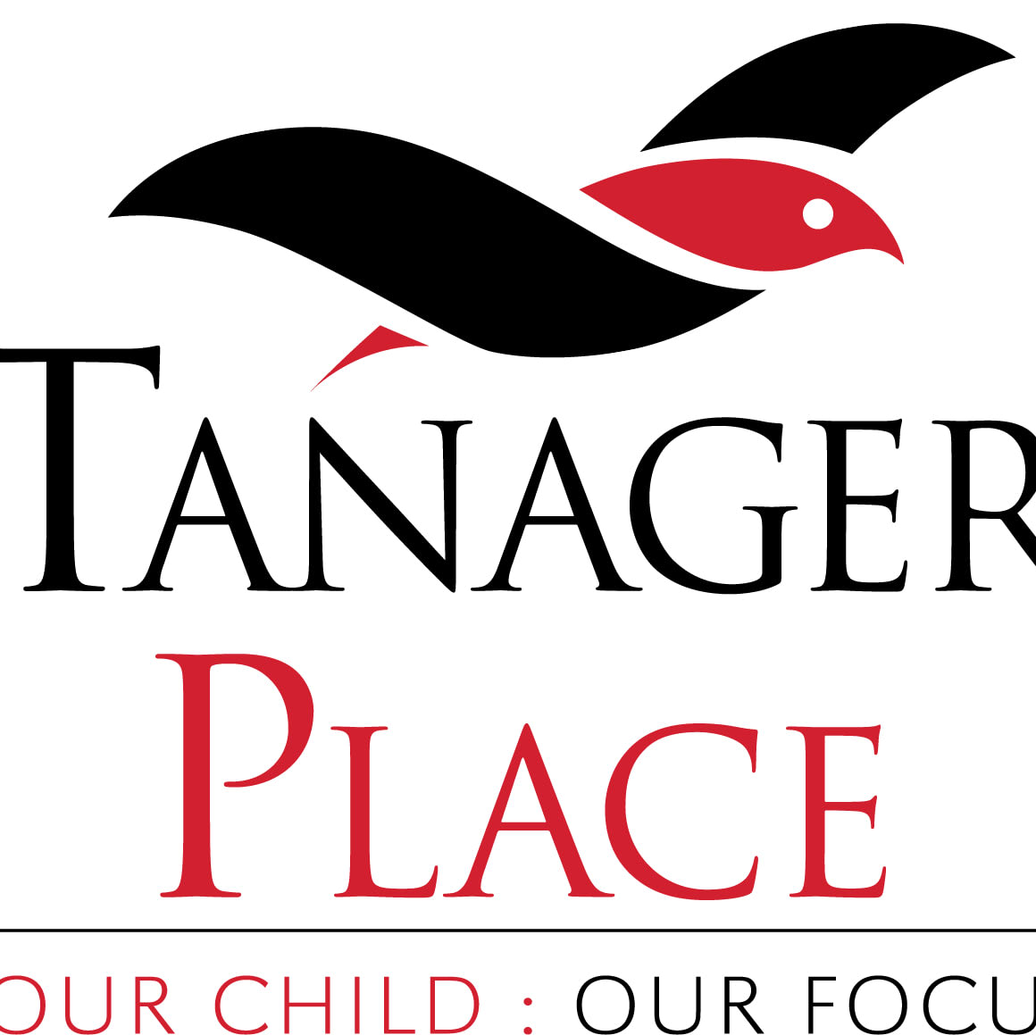 Tanager Place volunteer opportunities | VolunteerMatch