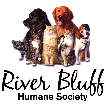 River Bluff Humane Society Adoption Find Your Furry Friend Today