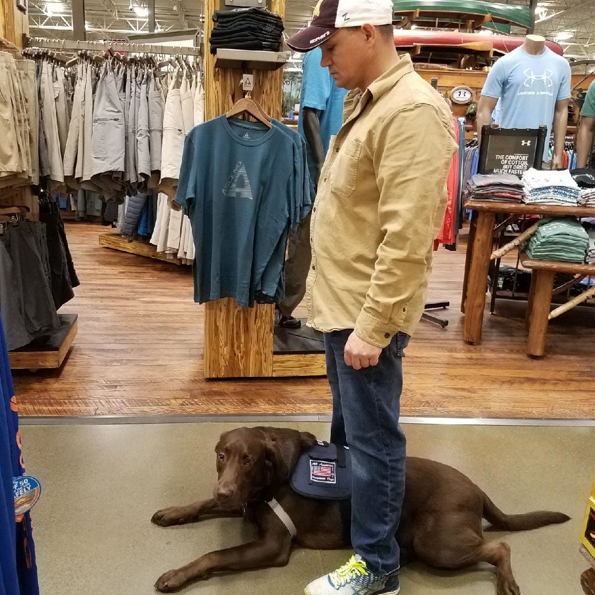 service dog trainer salary service dog trainer salary