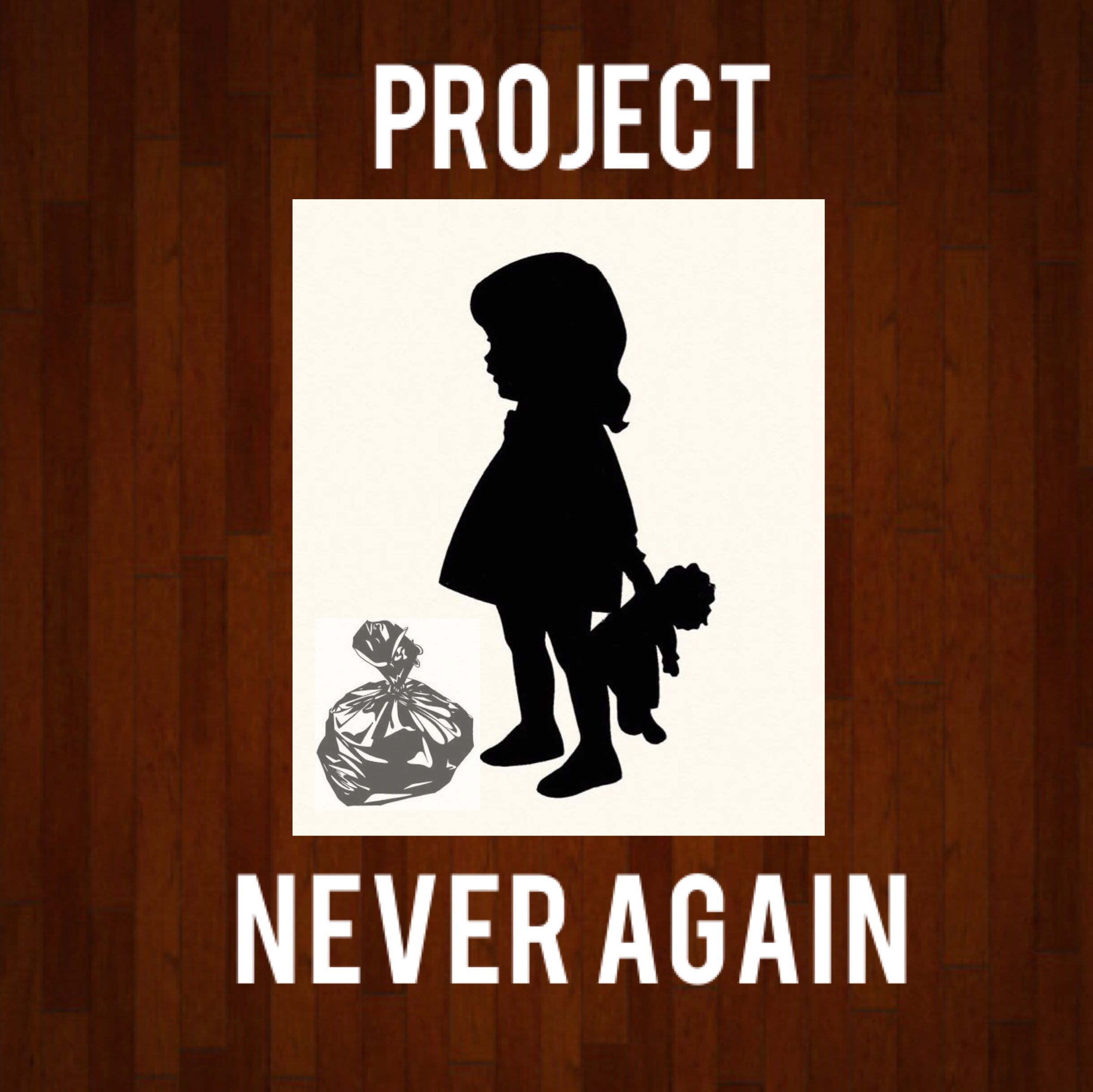 The Project I Never Sent: A Story Of Second Chances - ip452b6