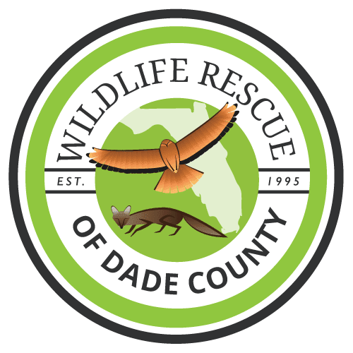 WILDLIFE RESCUE OF DADE COUNTY INC volunteer opportunities | VolunteerMatch