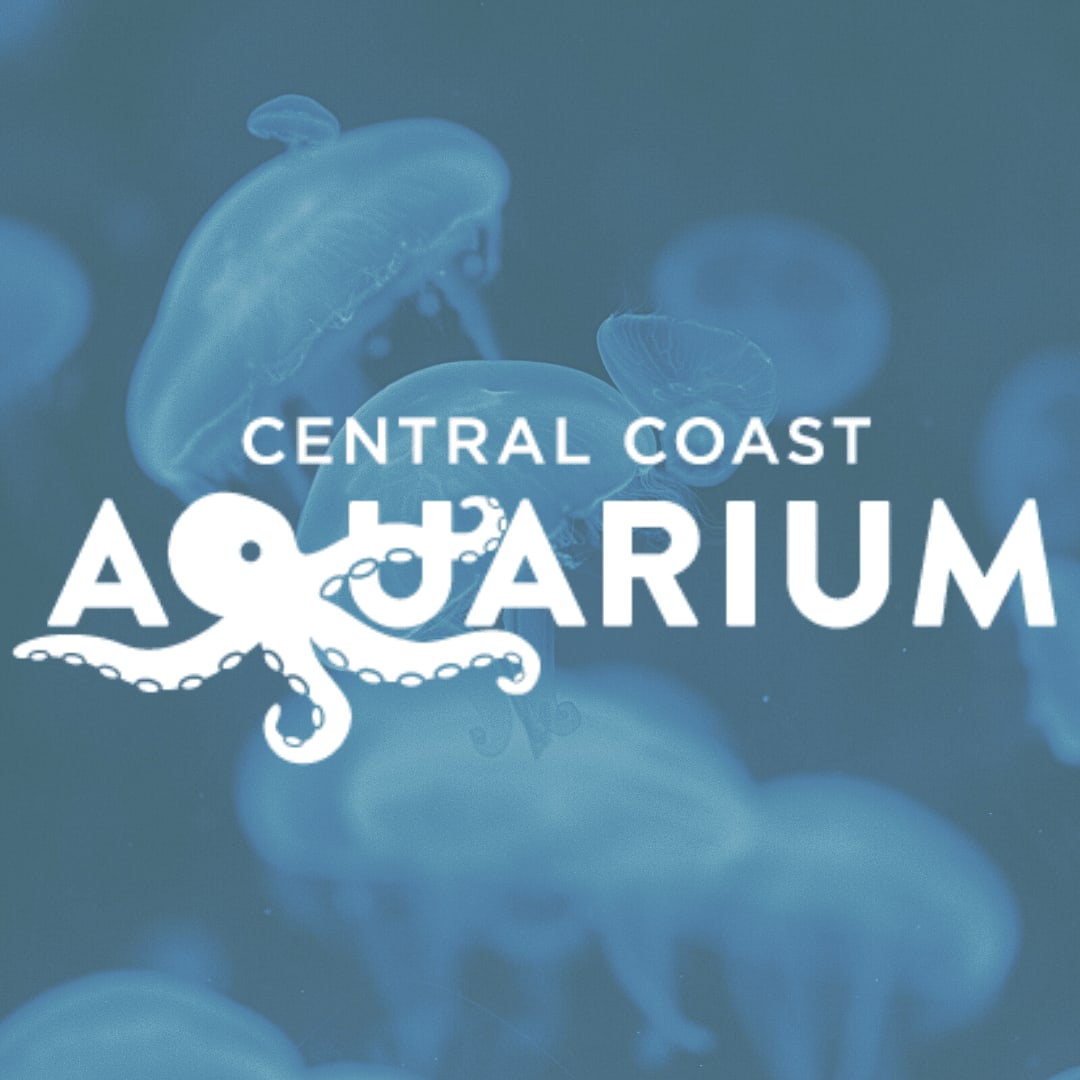 CENTRAL COAST AQUARIUM volunteer opportunities VolunteerMatch