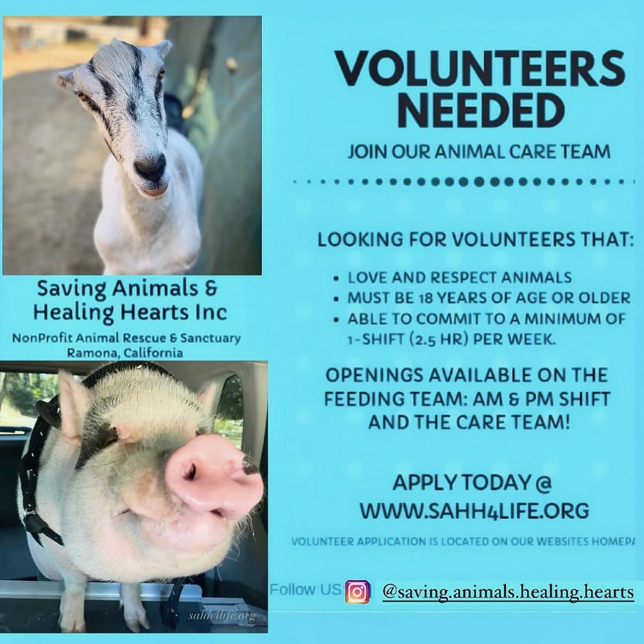 SAVING ANIMALS & HEALING HEARTS INC volunteer opportunities | VolunteerMatch SAVING ANIMALS & HEALING HEARTS INC volunteer opportunities | VolunteerMatch