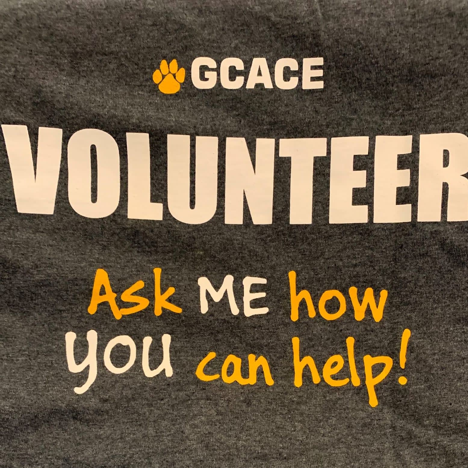 Volunteer at the Animal Shelter - Gastonia, NC | VolunteerMatch Volunteer at the Animal Shelter - Gastonia, NC | VolunteerMatch