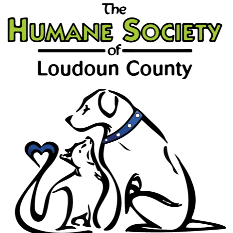 Humane Society of Loudoun County volunteer opportunities | VolunteerMatch Humane Society of Loudoun County volunteer opportunities | VolunteerMatch