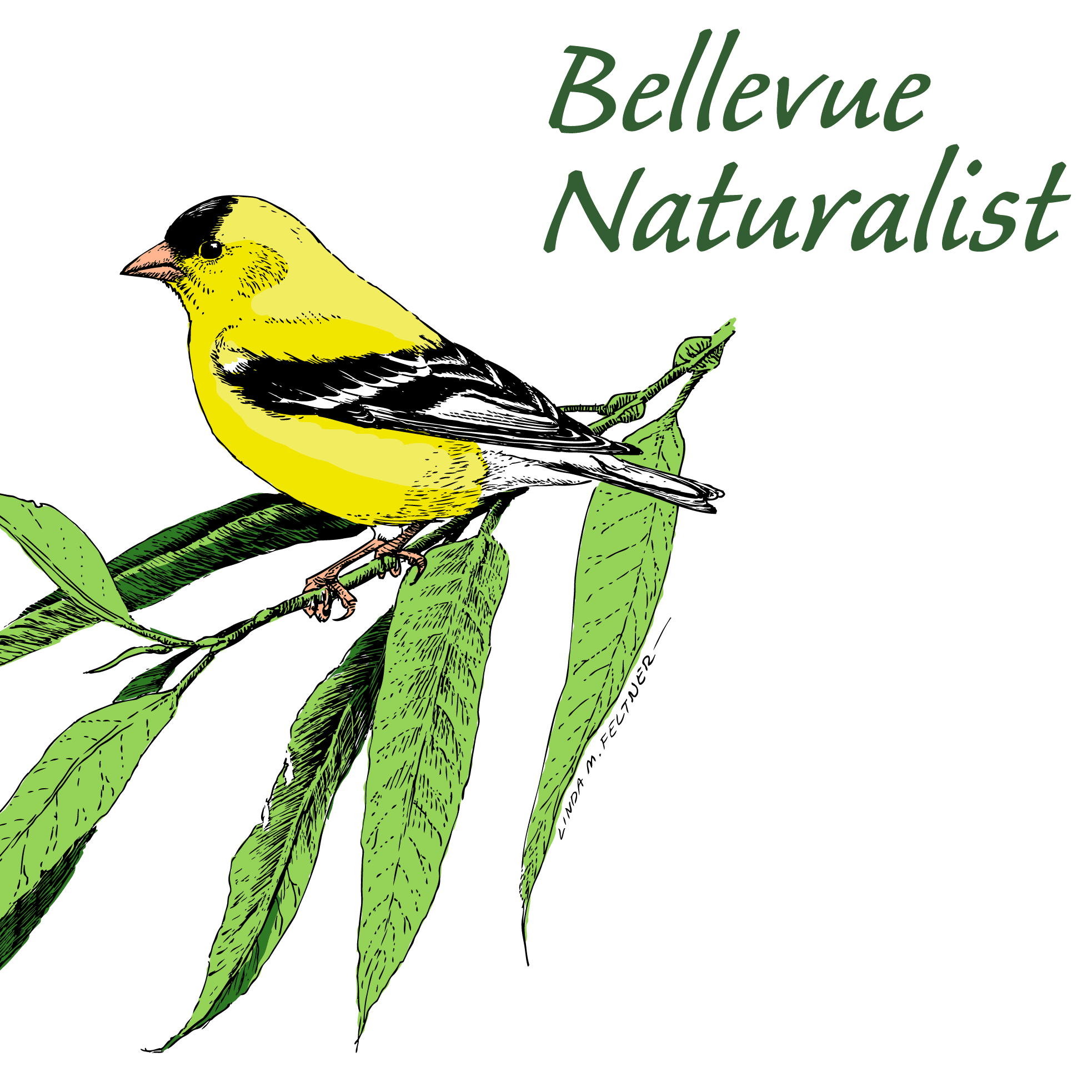 Bellevue Naturalist Program Class of Spring 2025 Bellevue, WA