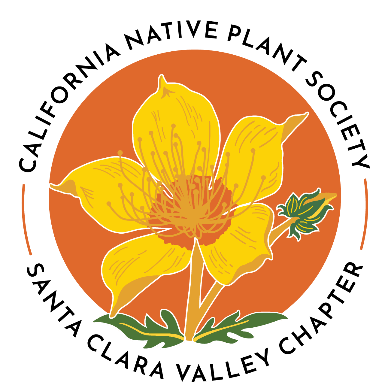 Santa Clara Valley Wildflower Guide