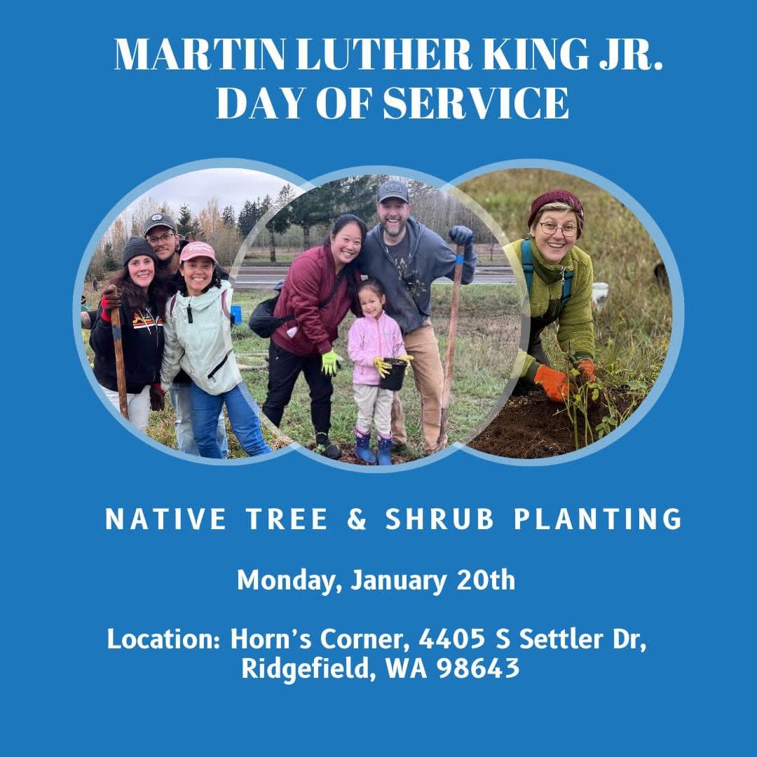 2025 Martin Luther King Jr. Day of Service Planting Ridgefield, WA