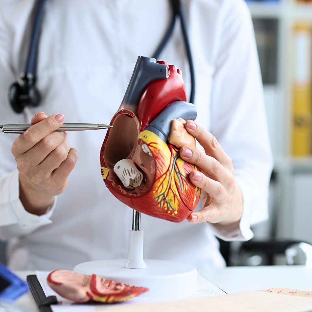 Serviço de Cardiologia