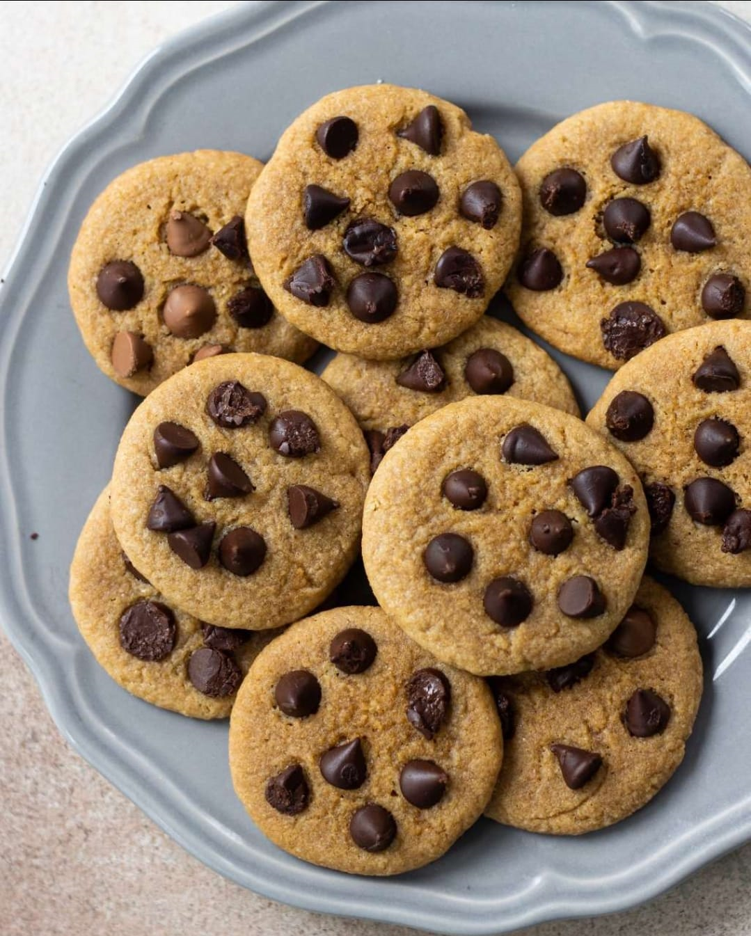 Choco Chips Biscuits