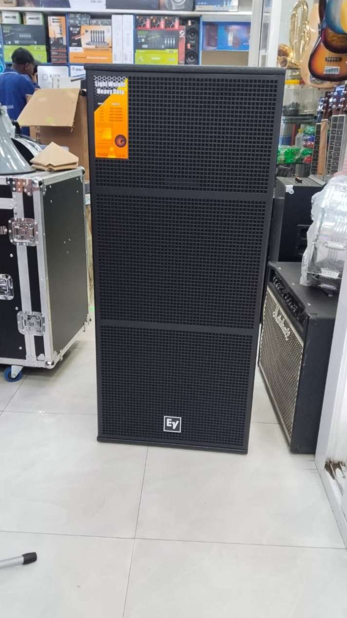 Electro-Voice DS 215 Dual 15" Professional PA Speaker System - City Sounds Nairobi