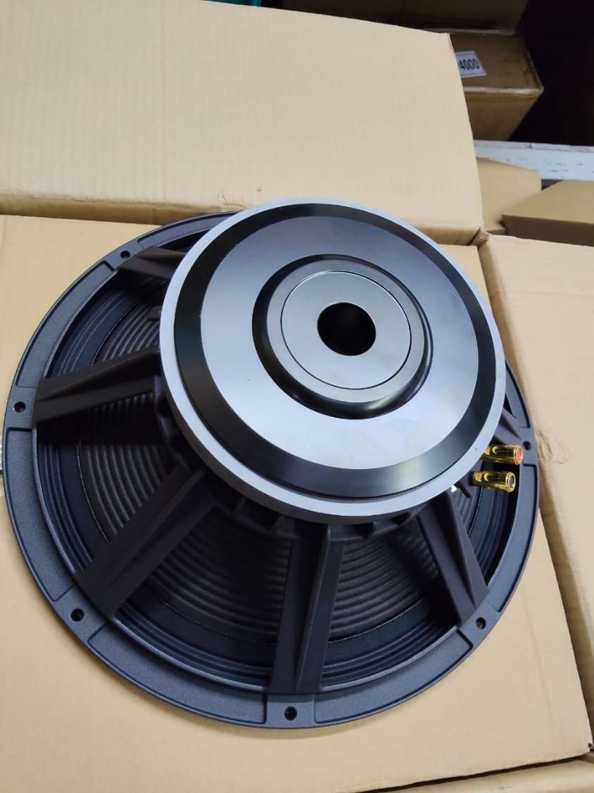 15" 75mm Coil PA Naked Speaker - 600W Professional - City Sounds Nairobi