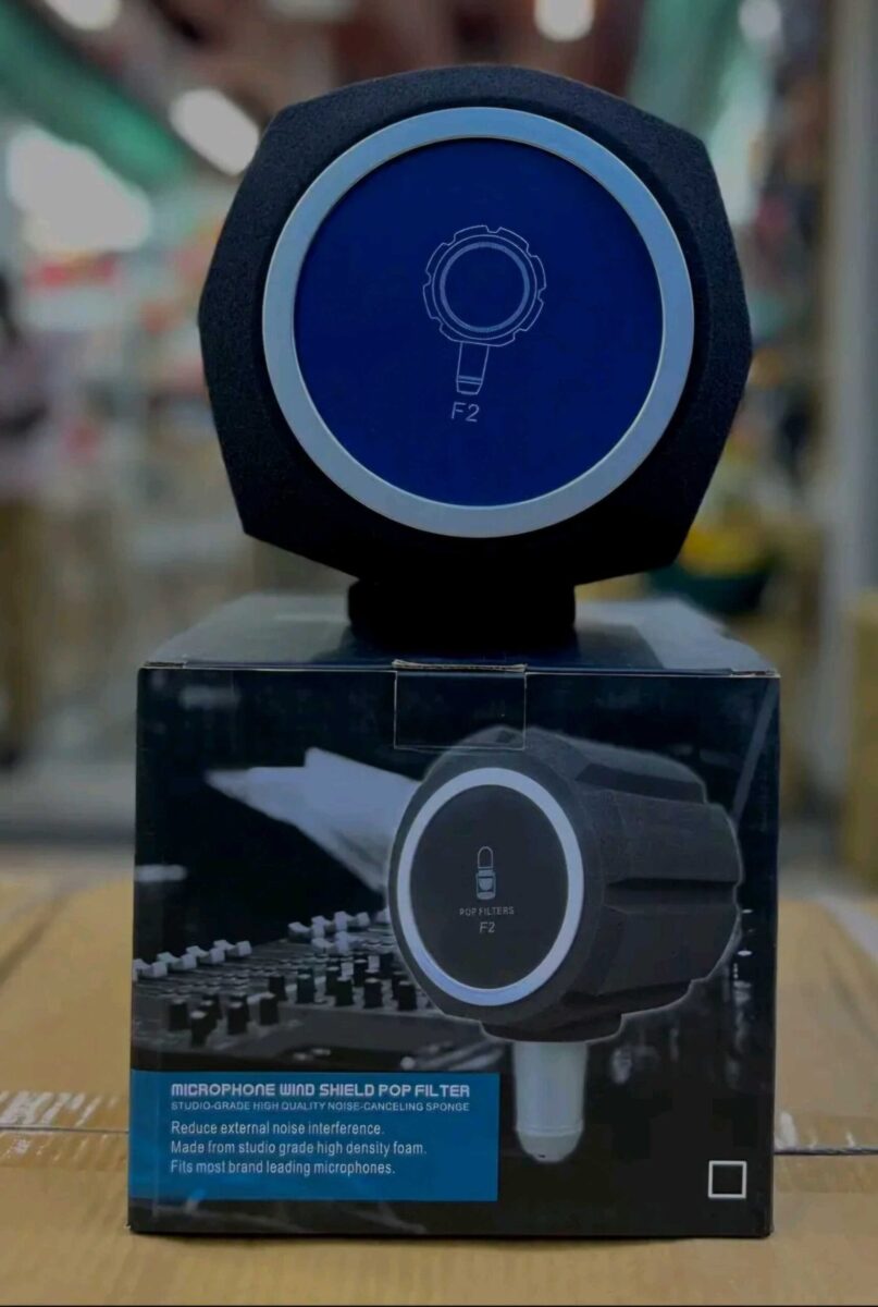 F2 Professional Microphone Isolation Ball Shield - Studio Recording - City Sounds Nairobi