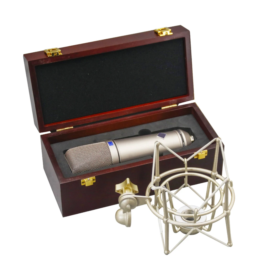 Neumann U 87 Ai Large-Diaphragm Condenser - Professional Studio Recording - City Sounds Nairobi