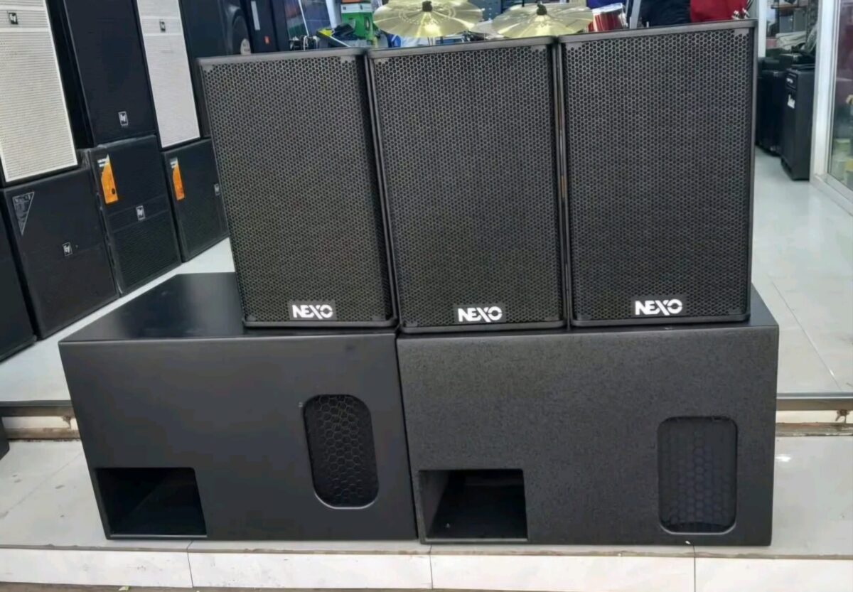 Nexo PS15 Professional Touring PA System - 15" Speaker + 18" Sub - City Sounds Nairobi
