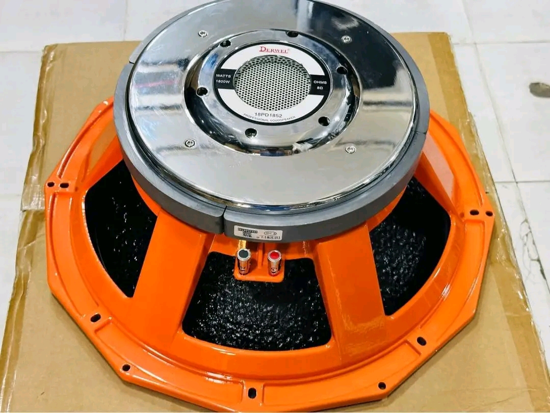 Derwel 18" PD1882 Professional 18-Inch Subwoofer - City Sounds Nairobi