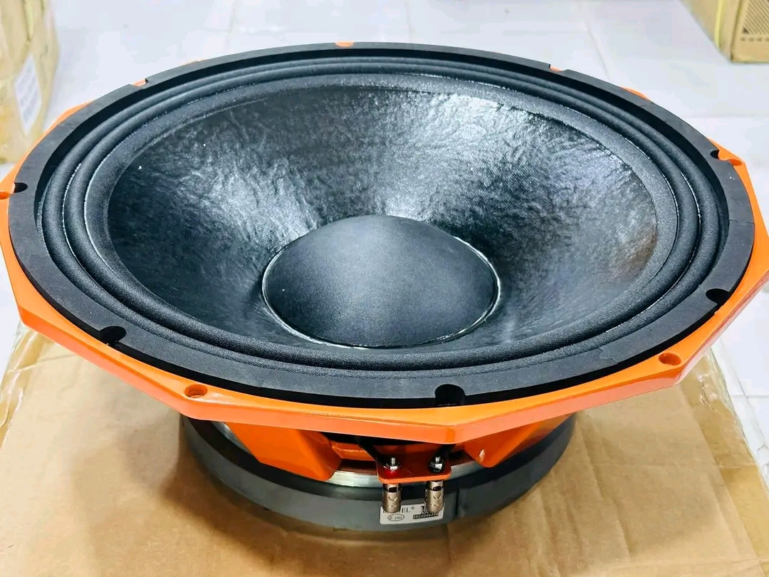 Derwel 18" PD1882 Professional 18-Inch Subwoofer - photo 2 - City Sounds Nairobi