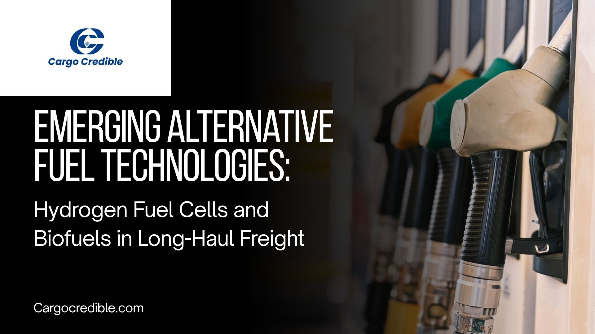 Emerging Alternative Fuel Technologies: Hydrogen Fuel Cells and Biofuels in Long-Haul Freight