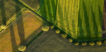 Agriculture