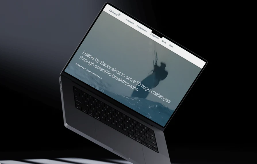 Portfolio preview
