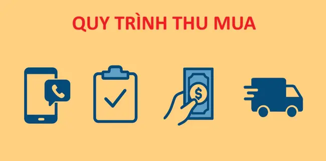 Quy trình thu mua