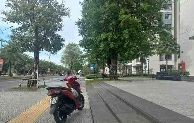 Nhân viên đi thu mua tủ lạnh cũ quận 2 tại chung cư mastery