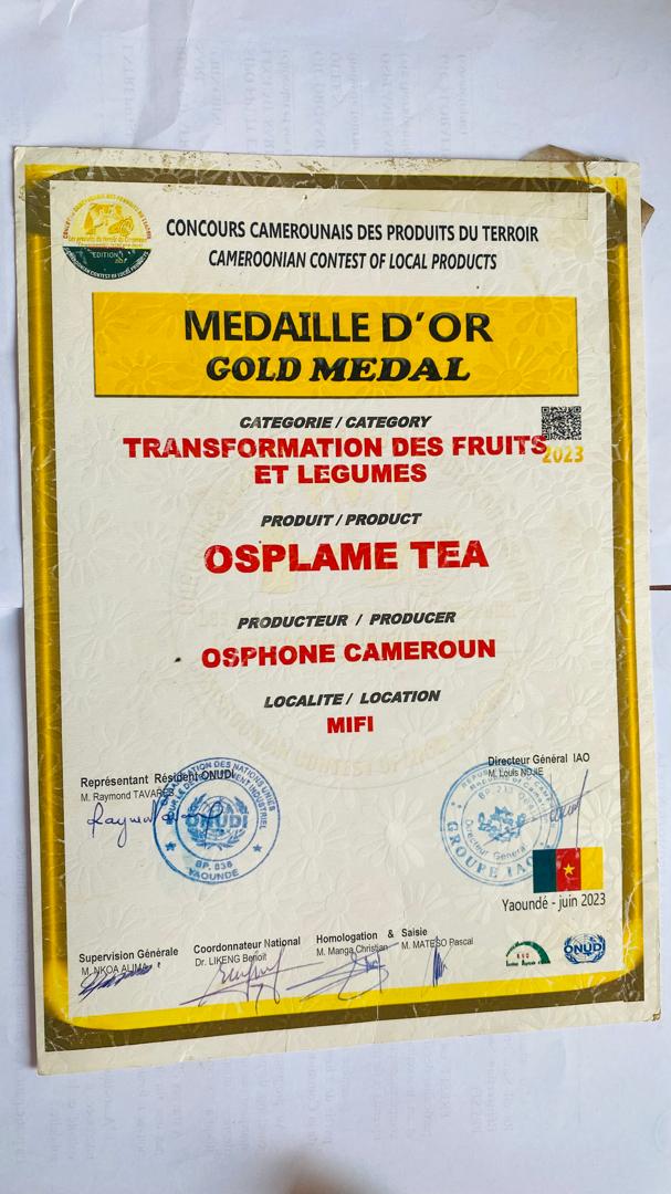 MEDAILLE D'OR