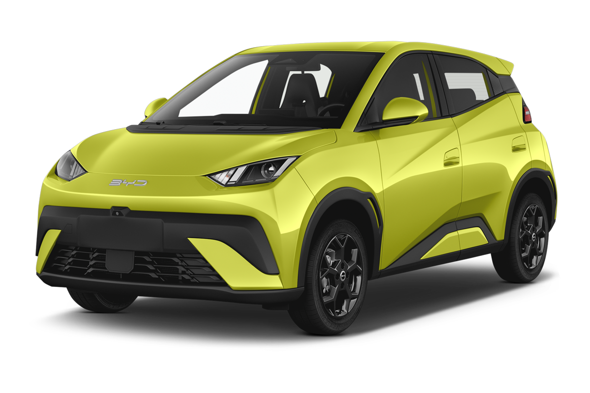 Collaborateur Byd Dolphin surf