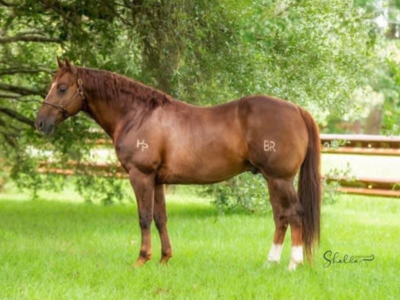 Gracefullygottarun - Photo 1