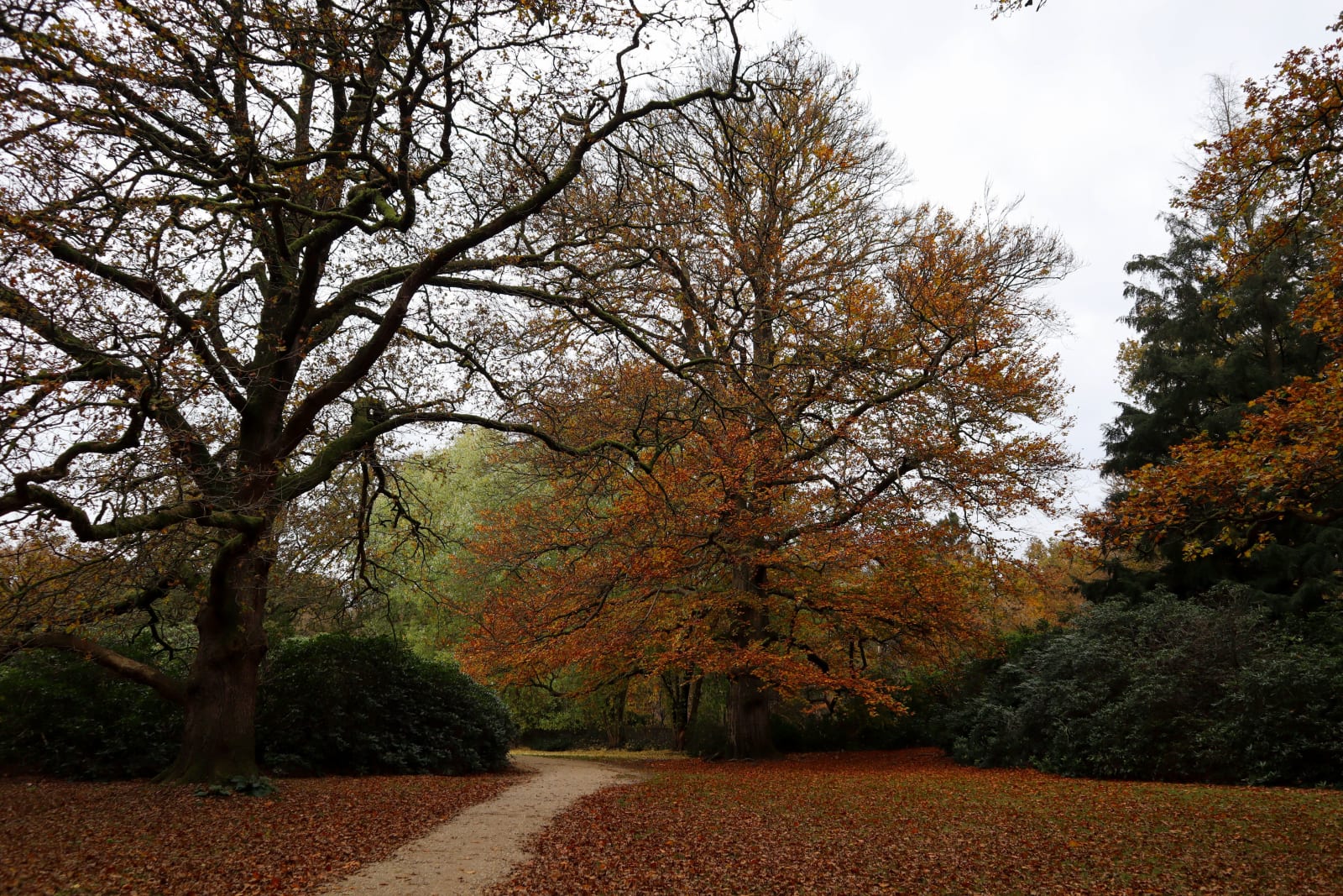 Herfstkleuren