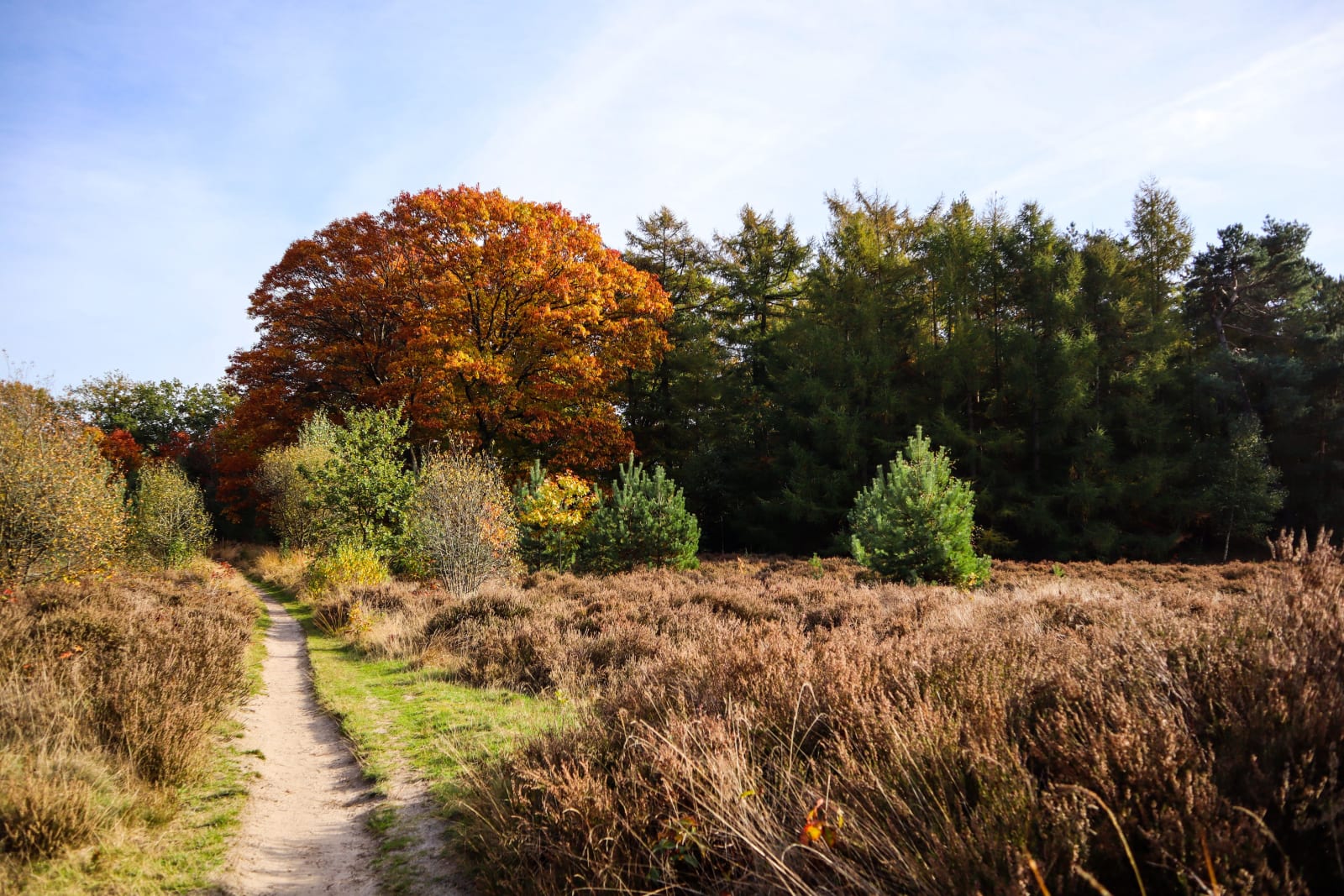 Natuurfotografie 2