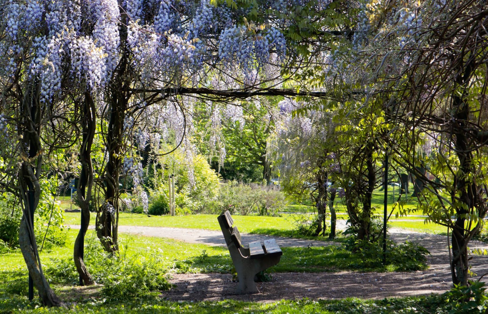 Lente 3