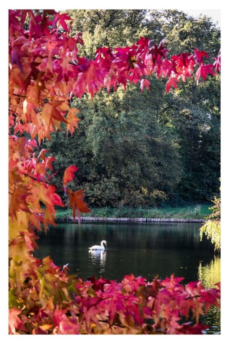 Herfst 3