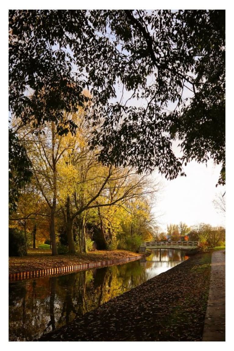 Herfst 5