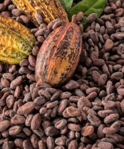 World Bank Affiliate Steps In With Up to US$300m to Stabilise Ghana’s Cocoa Sector